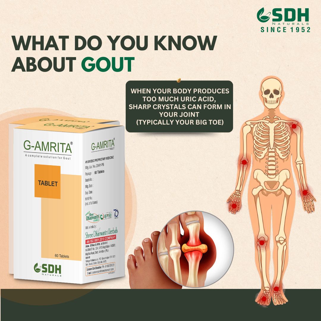 SHREE DHANWANTRI HERBALS Naturals G Amrita Helps In Gout,Joint Pain Relief By Healthy Uric Acid Level,Helps Reduce Swelling&Pain,Natural Supplement For Joint Care , Ayurvedic Tablets