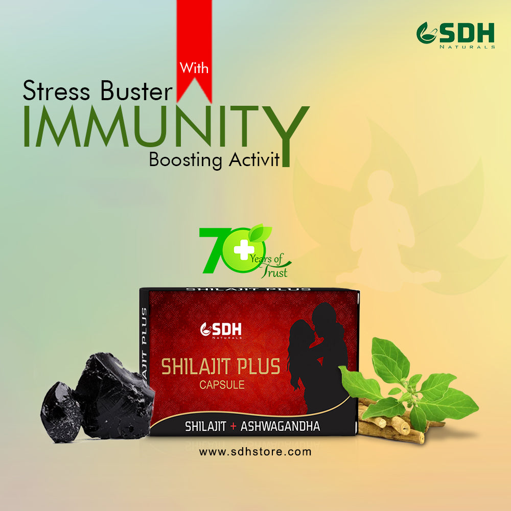 Shilajit Plus Capsules - Best Men's Health Care Supplement